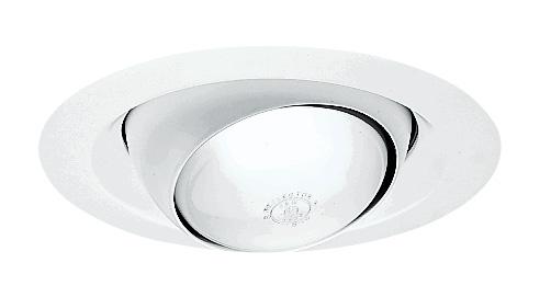 6" Trim Eyeball R/Par30