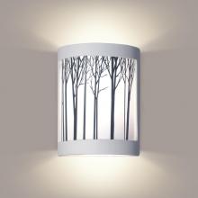 A-19 F200I-WETST-M15 - Ansel Wall Sconce: Red Copper Satin (Wet Sealed Top)