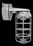 RAB Lighting VXBR200DG - VAPORPROOF VXBR 200W WALL BRACKET 4 INCHES BOX 1/2 INCH WITH GLASS GLOBE CAST GUARD