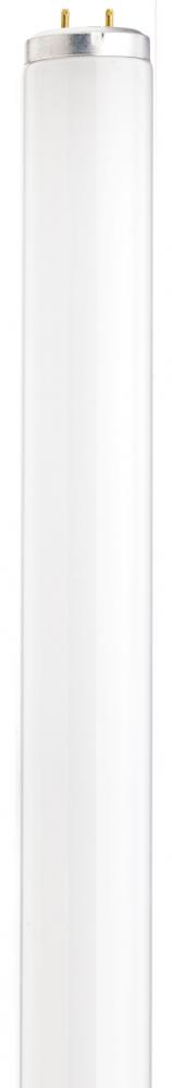 40 Watt; T12; Fluorescent; 4100K Cool White; 70 CRI; Medium Bi Pin base; Shatter Proof